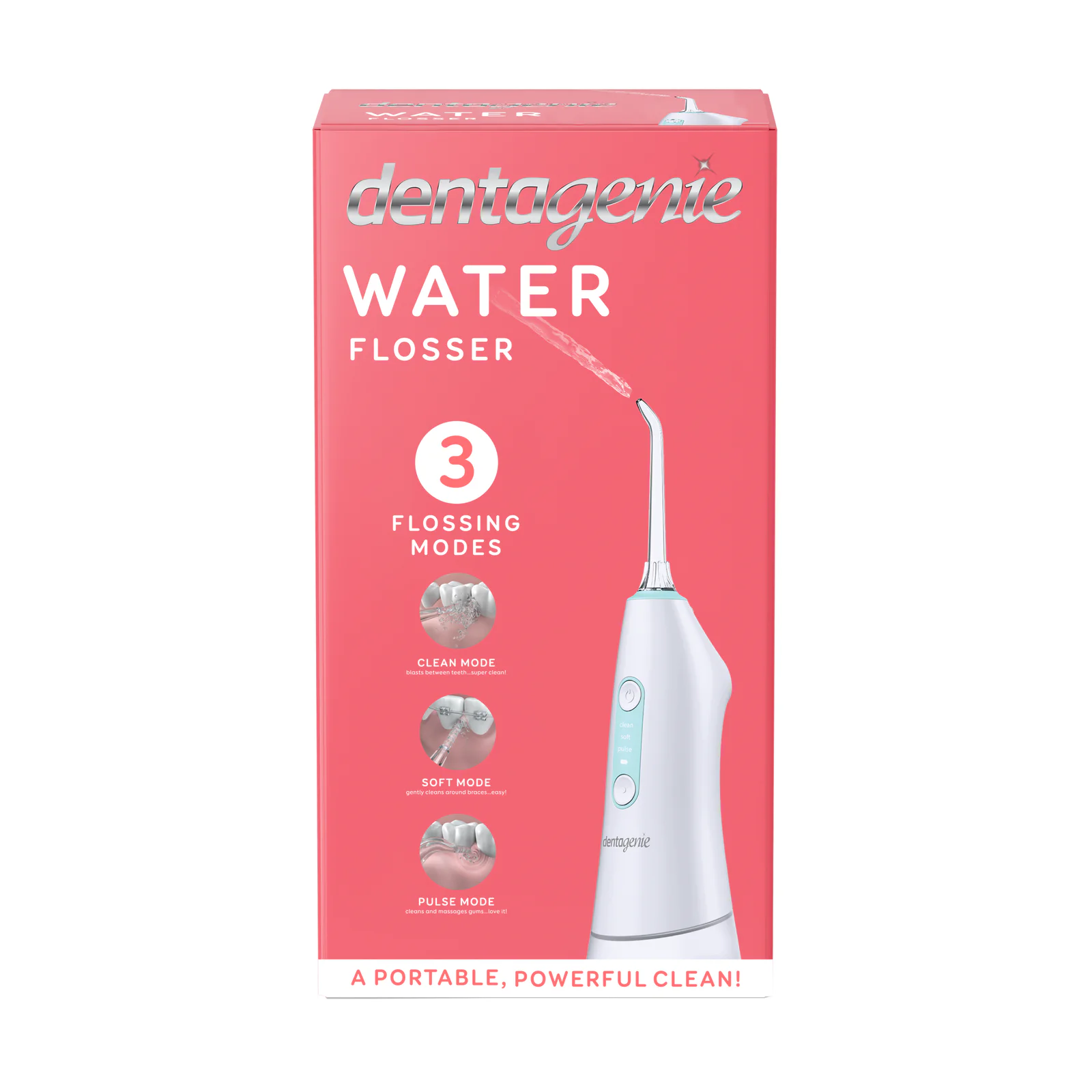 Dentagenie Go2 Water Flosser